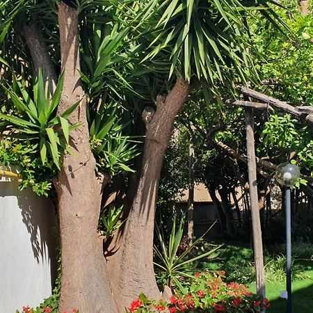 Maria Maddalena Holiday House Vico Equense Luaran gambar